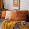 Pumpkin Fall Decorative Throw Pillow Covers 20"x20", Set of 2 Orange Soft Faux Fur Pillow Covers for Autumn Harvest, Fluffy Plush Accent Pillow Cases for Farmhouse Couch Cushion Covers